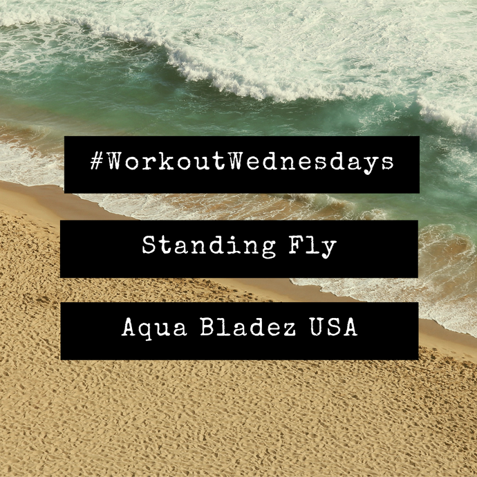 #WorkoutWednesday - Standing Fly